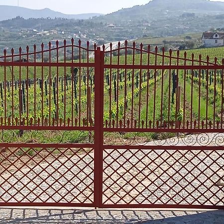 Willa Quinta Do Passadico Lamego Zewnętrze zdjęcie