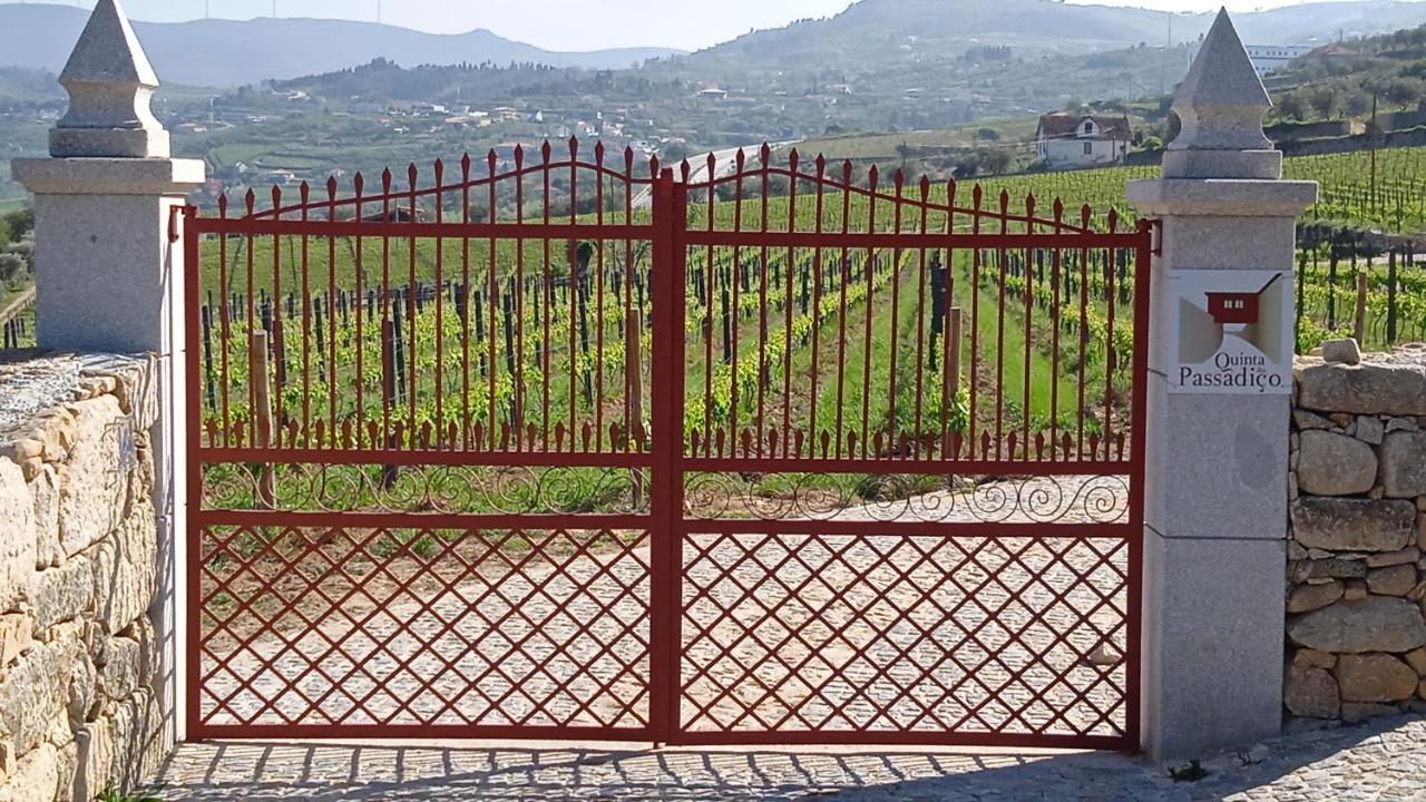 Willa Quinta Do Passadico Lamego Zewnętrze zdjęcie