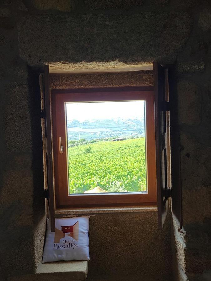 Willa Quinta Do Passadico Lamego Zewnętrze zdjęcie